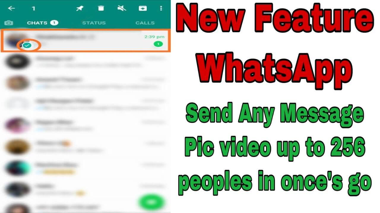 what is whatsapp broadcast